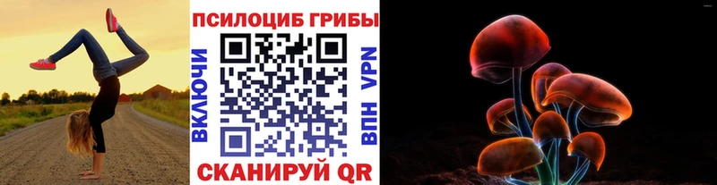 Купить где Гуково Псилоцибиновые грибы Psilocybe